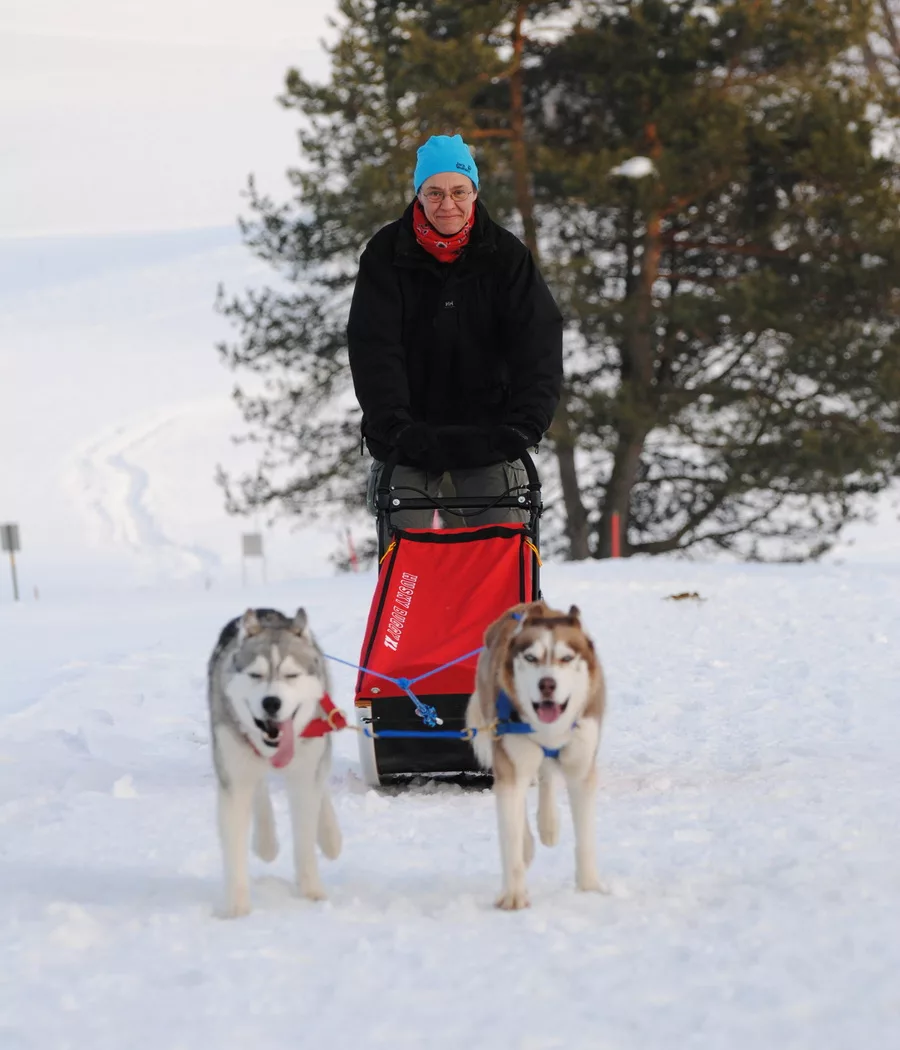 Ein roter Hundeschlitten wird gezogen durch 2 sibirische Husky mit der Musherin.